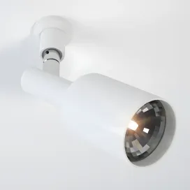 Roof deltalight
